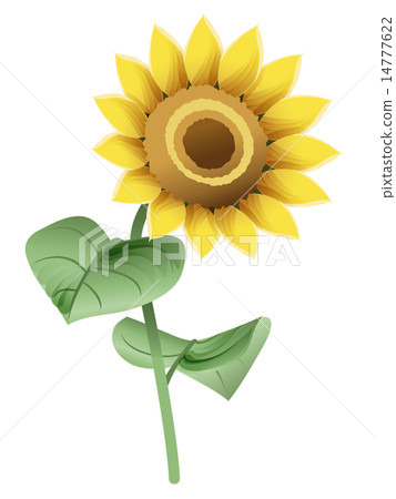 A little retro sunflower right oblique upper A little retro sunflower right oblique upper 14777622