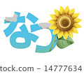 A bit retro sunflower character A bit retro sunflower character 14777634