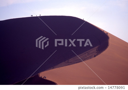 Sosus fly dunes 14778091