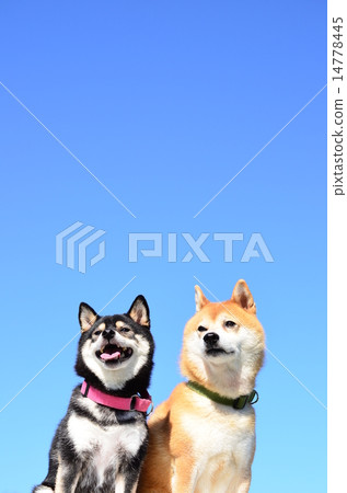 Refreshing blue sky ♪ 14778445