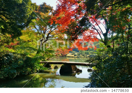 Autumn Garden 14778630