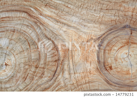 Teak wood stump background Teak wood stump background 14779231
