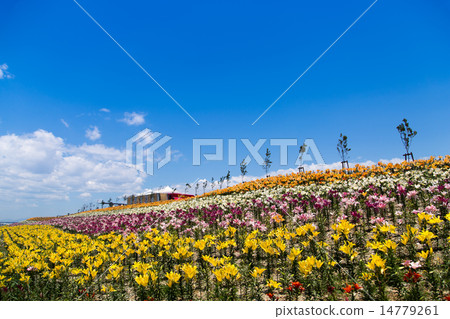 Osaka Maishima Yuri Garden 14779261