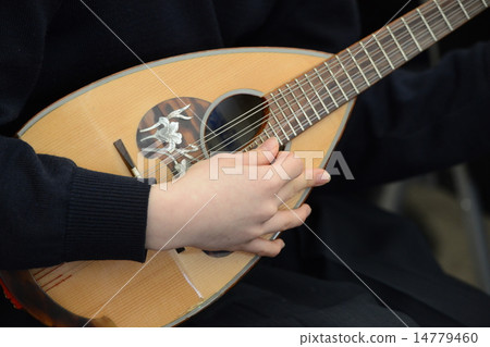 mandolin mandolin 14779460
