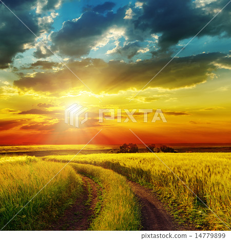 sunset over rural road near green field 14779899