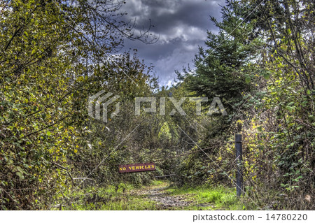 No Vehicles No Vehicles 14780220