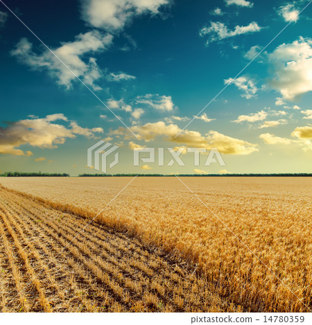 sunset over wheat field sunset over wheat field 14780359