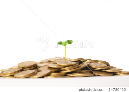 Green plant growing from the coins Green plant growing from the coins 14780433