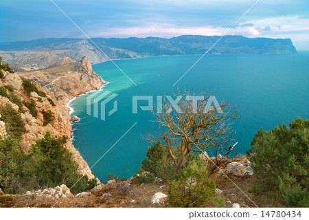 Sea landscape Sea landscape 14780434