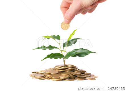 Green plant growing from the coins Green plant growing from the coins 14780435