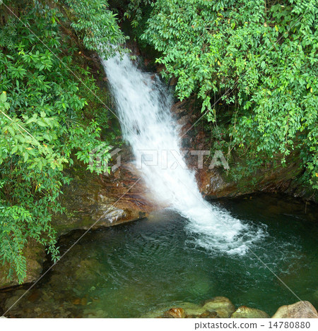 Waterfall in the forest Waterfall in the forest 14780880