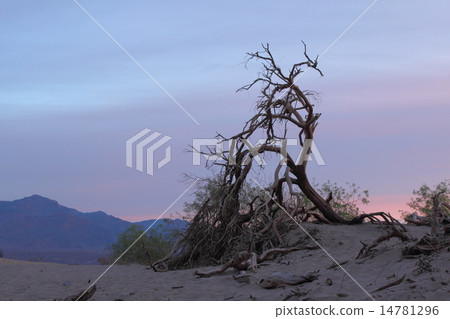 Twilight's Death Valley National Park 14781296