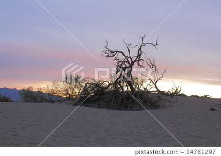 Twilight's Death Valley National Park 14781297
