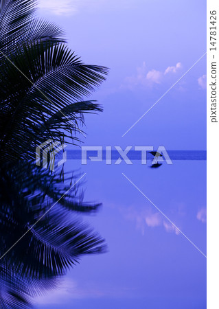 Swimming pools and birds Swimming pools and birds 14781426