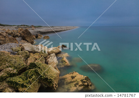 wild beach wild beach 14781767