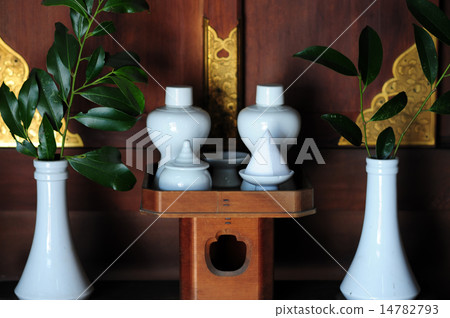 Shintake Shintake 14782793