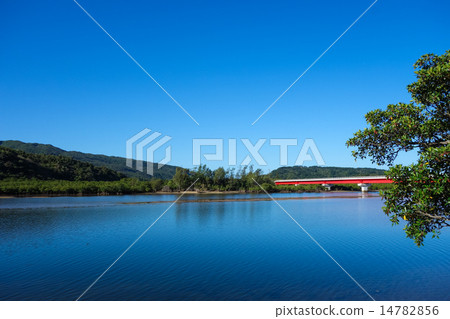 Okinawa Prefecture Iriomotejima Urauchi River Okinawa Prefecture Iriomotejima Urauchi River 14782856