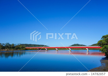 Okinawa Prefecture Iriomotejima Urauchi River Okinawa Prefecture Iriomotejima Urauchi River 14782857