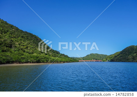 Okinawa Prefecture Iriomotejima Urauchi River Okinawa Prefecture Iriomotejima Urauchi River 14782858