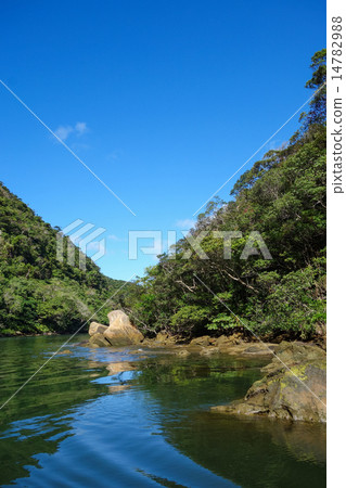 Okinawa Prefecture Iriomotejima Urauchi River 14782988