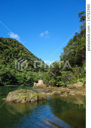 Okinawa Prefecture Iriomotejima Urauchi River 14782990