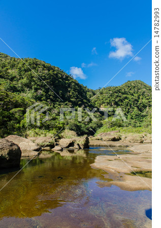 Okinawa Prefecture Iriomotejima Urauchi River 14782993