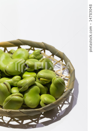 蠶豆 蠶豆 14783048