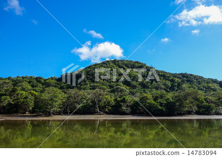 Okinawa Prefecture Iriomotejima Urauchi River 14783094