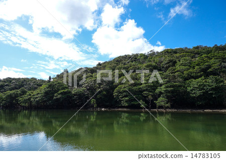 Okinawa Prefecture Iriomotejima Urauchi River 14783105