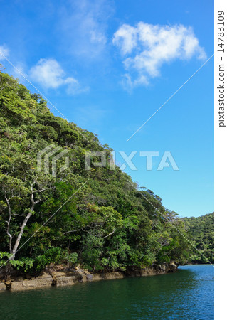 Okinawa Prefecture Iriomotejima Urauchi River Okinawa Prefecture Iriomotejima Urauchi River 14783109