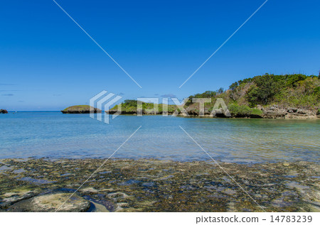 沖繩縣Iriomotejima星沙灘 14783239