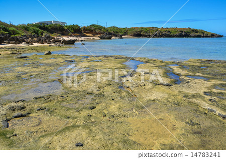 Okinawa prefecture Iriomotejima star sand beach Okinawa prefecture Iriomotejima star sand beach 14783241