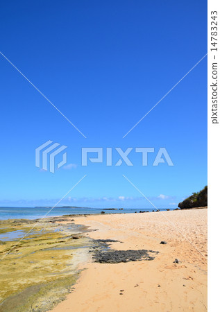 Okinawa prefecture Iriomotejima star sand beach 14783243