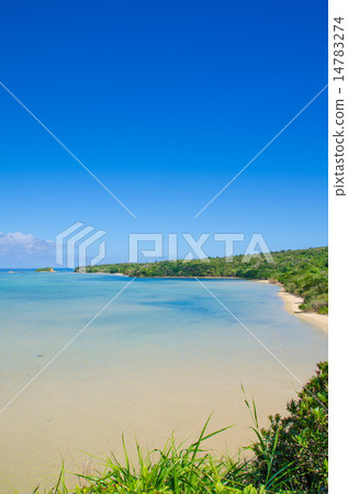 沖繩縣西里島島大學景觀公園觀景台 沖繩縣西里島島大學景觀公園觀景台 14783274