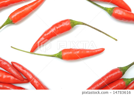Hot red chili or chilli pepper isolated 14783616