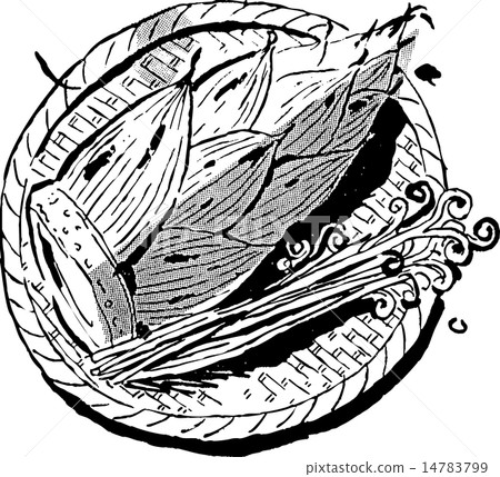 野生植物 野生植物 14783799