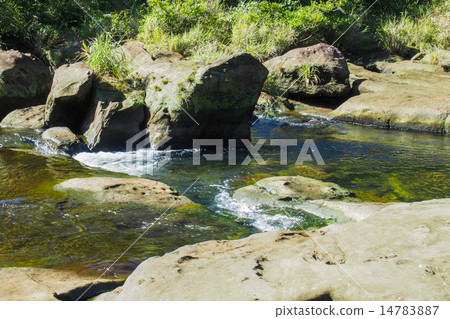 Okinawa Prefecture Iriomotejima Urauchi River 14783887