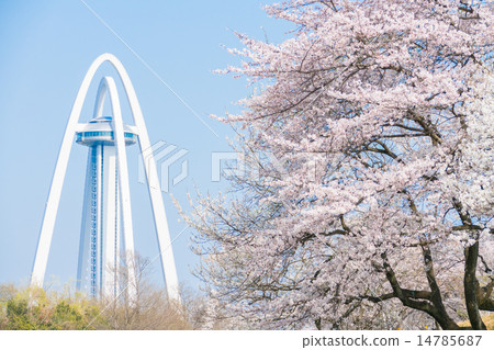 138 Tower park 14785687