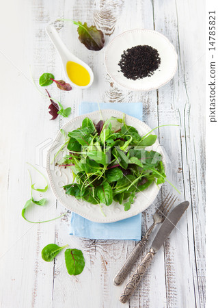 Fresh green salad Fresh green salad 14785821
