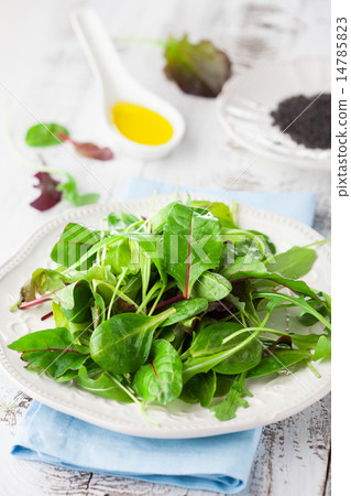 Fresh green salad Fresh green salad 14785823