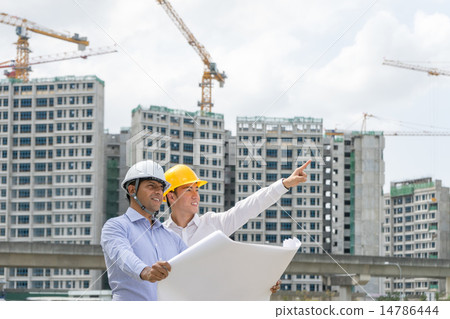 Men in Construction and Building Services Success 14786444