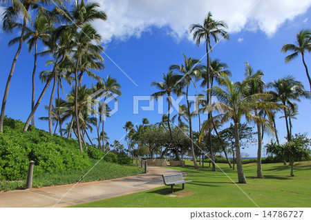 夏威夷Ko Olina Oahu度假村Ko Olina 14786727