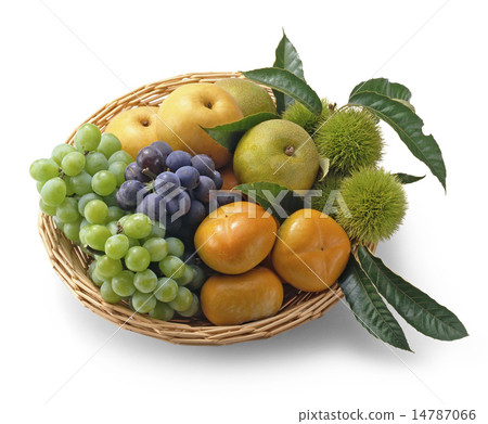 Fruit collection 14787066