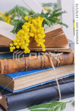 pile of old books 14787278