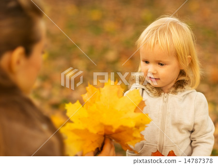 Mother showing baby fallen leaves Mother showing baby fallen leaves 14787378