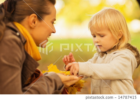 Mother showing baby fallen leaves and chestnuts Mother showing baby fallen leaves and chestnuts 14787415