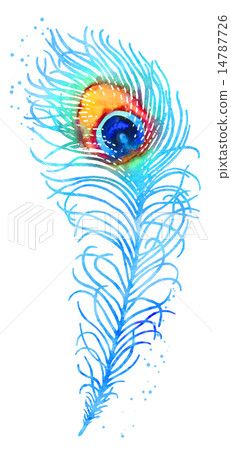 Vector watercolor peacock feather 14787726