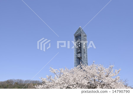 東山天空塔在春天 14790790