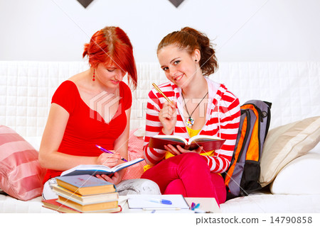 Two pretty girlfriends studying at home 14790858