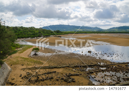 沖繩縣石垣島野口河 14791677